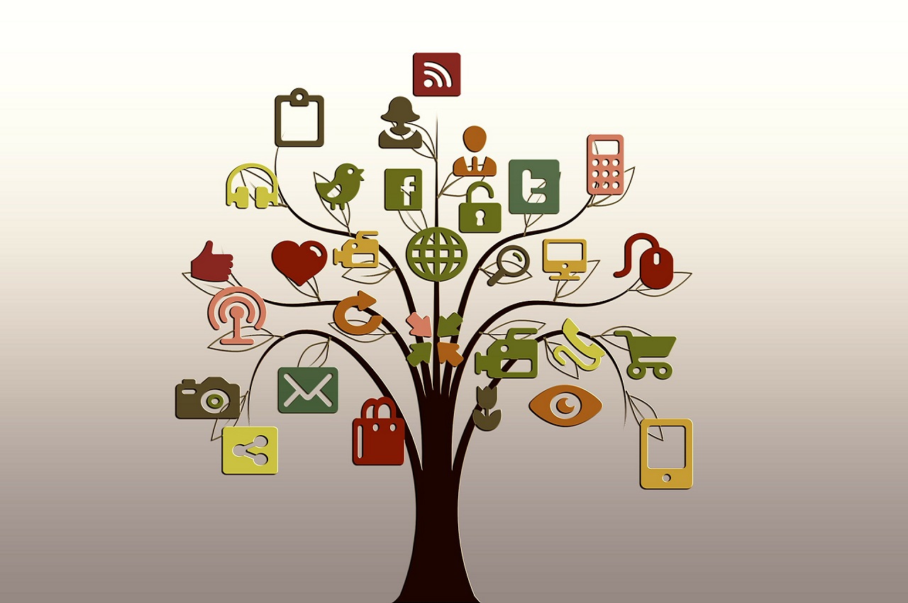 Social Media Video Ads