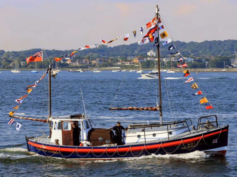 marine surveyor website